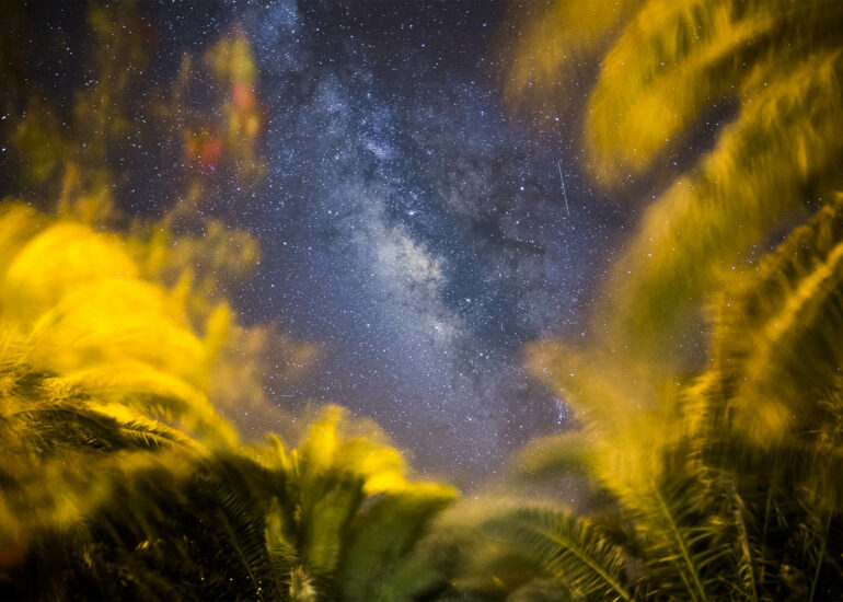 Estrellas en La Gomera