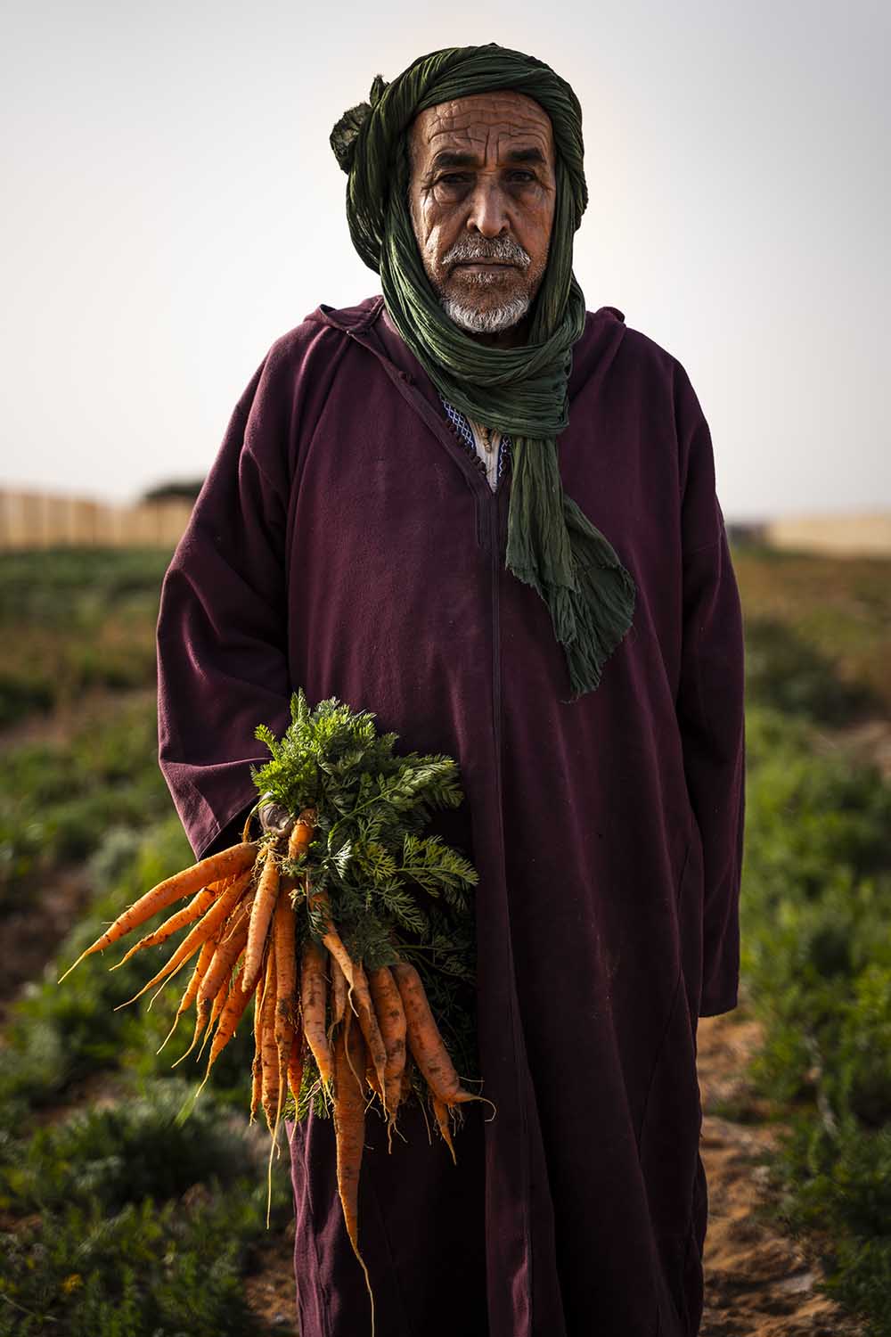 Campamentos Refugiados en el Sahara