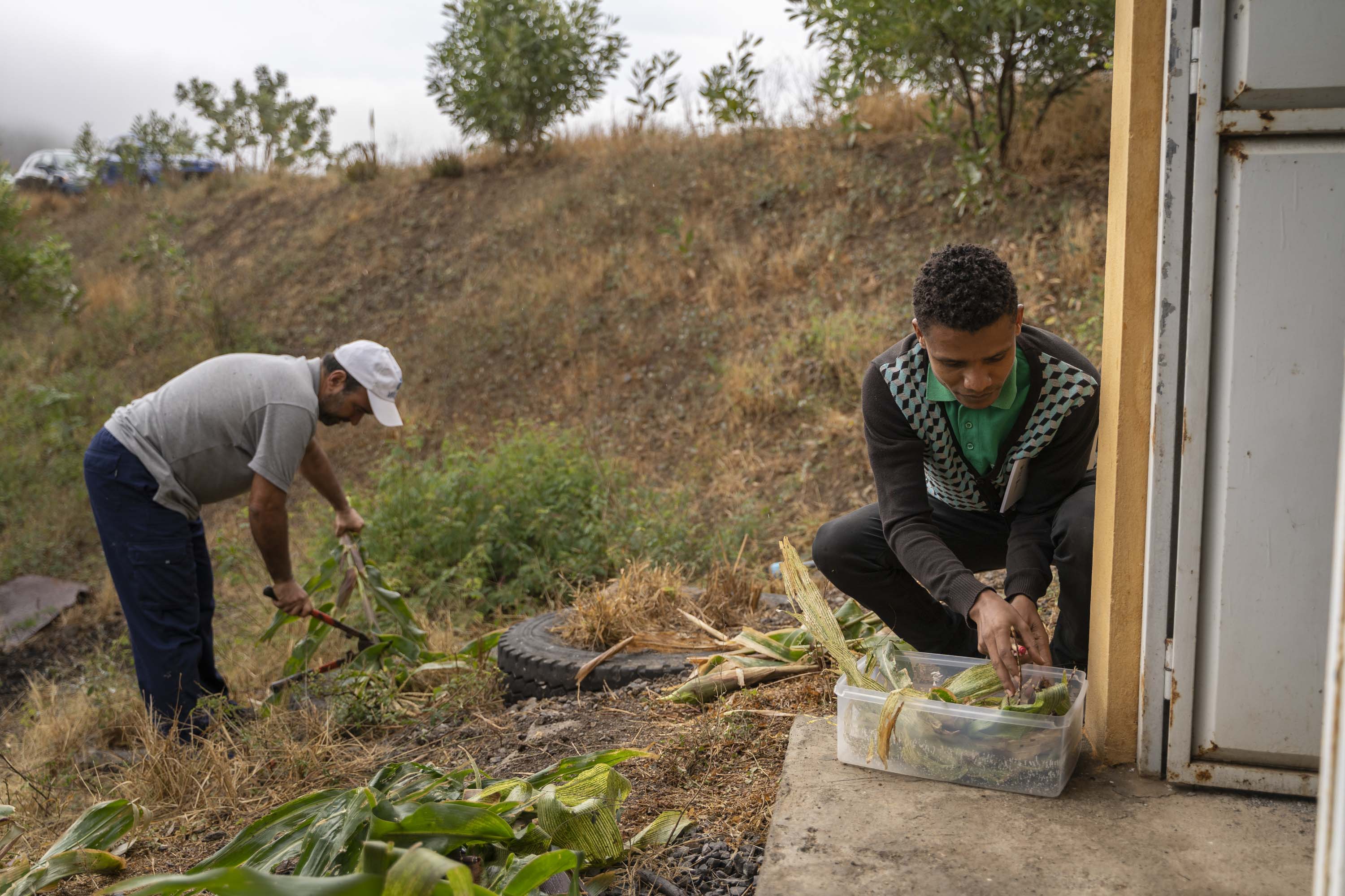 Separación de las muestras en el proyecto Vercochar en Santiago, Cabo Verde